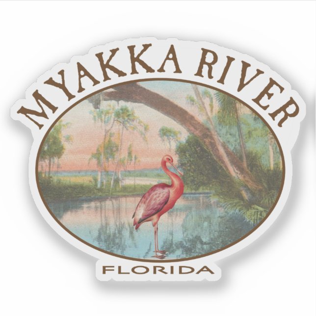 Myakka River Florida with Roseate Spoonbill (Front)