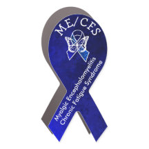 Myalgic Encephalomyelitis Chronic Fatigue Syndrome