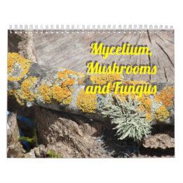 Mycelium, Mushrooms and Fungus Calendar