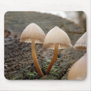 Mycena inclinata Mushroom Mouse Mat