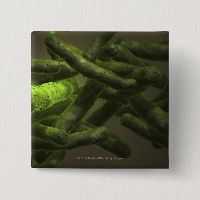 Mycobacterium tuberculosis cells 2 inch square button (Front)