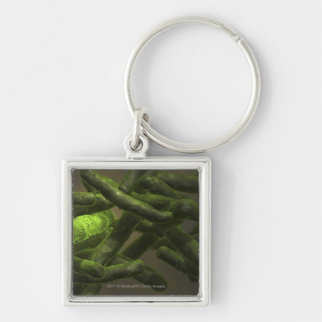 Mycobacterium tuberculosis cells keychain (Front)
