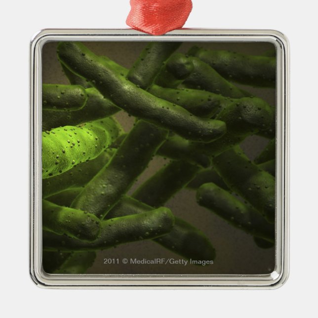 Mycobacterium tuberculosis cells metal ornament (Front)