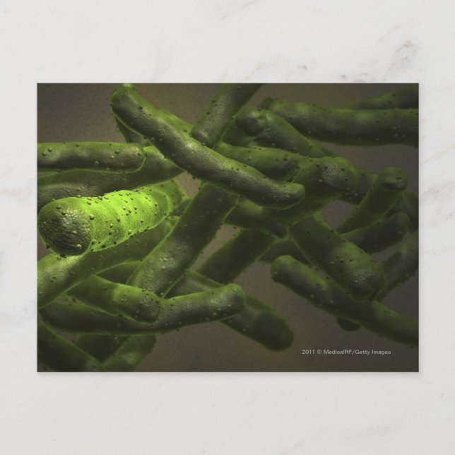 Mycobacterium tuberculosis cells postcard (Front)