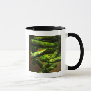 Mycobacterium Tuberculosis Mug