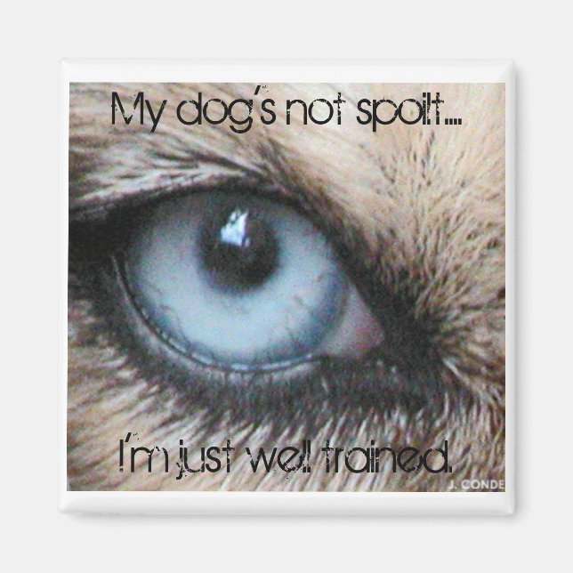 Mydogs not spoilt, I'm just well trained Magnet (Front)