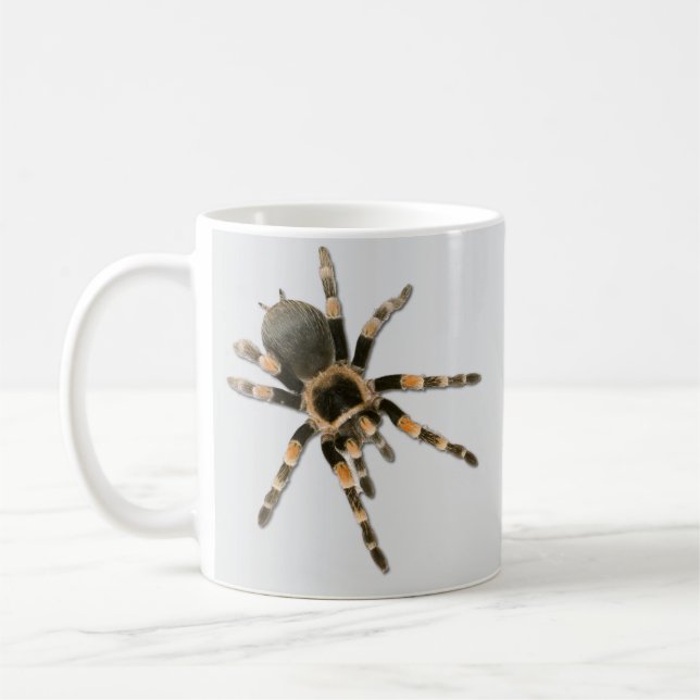 Mygal spider (Brachypelma smithi). Coffee Mug (Left)