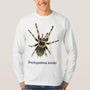 Mygale on a t-shirt