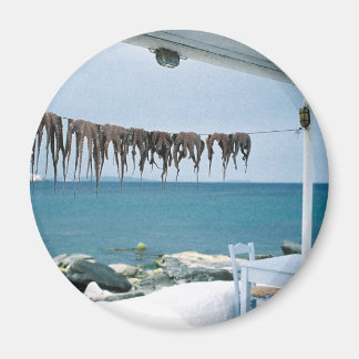 Mykonos, Greece Magnet