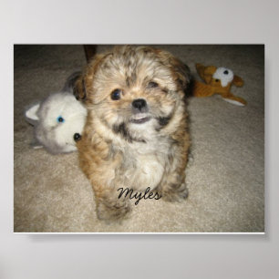 Myles Poster