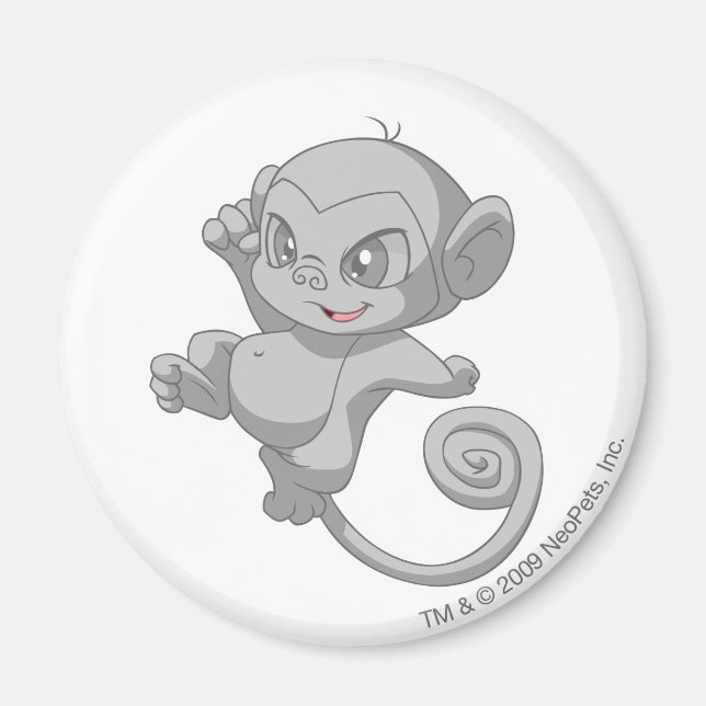 Mynci Silver Magnet (Front)