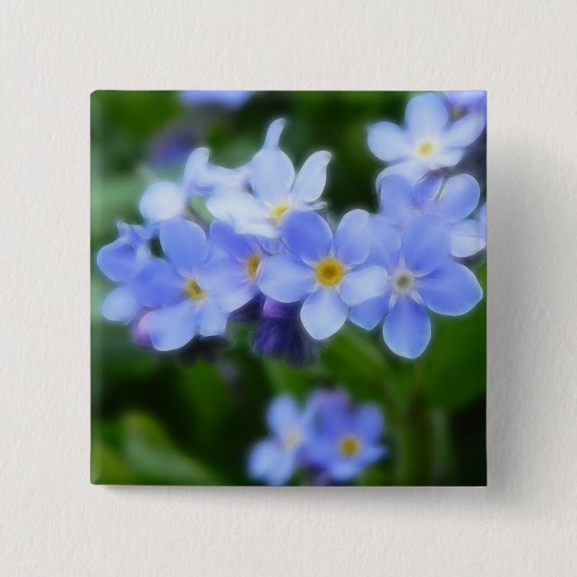 Myosotis sylvatica - Forget Me Nots 2 Inch Square Button (Front)