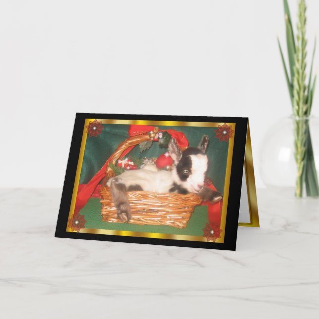 Myotonic Baby Goat Holiday Card (Front)