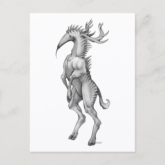 Myrmedeer - Carte postale (Devant)