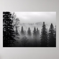 Mysteries of the Mist