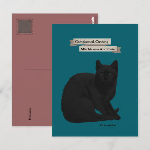 Mysterious Black Cat Quote Personal Teal Pink Postcard