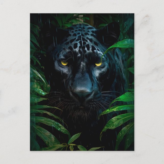 Mysterious Black Panther Jungle Wildlife Design Postcard (Front)