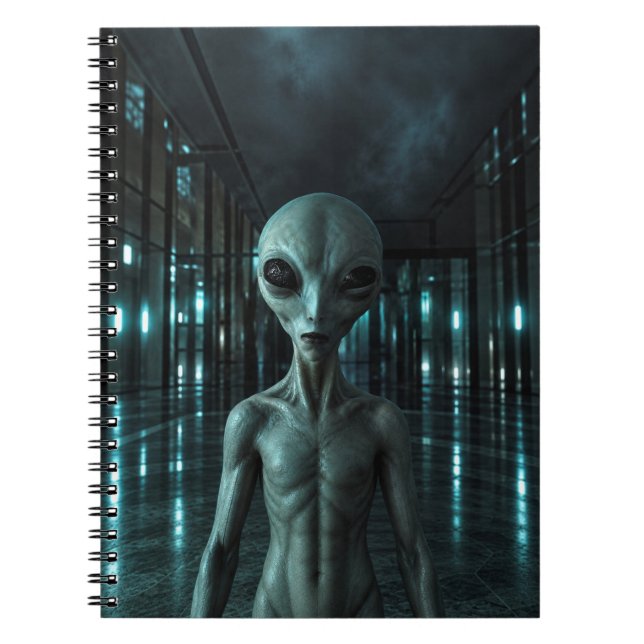 Mysterious Grey Alien Notebook (Front)