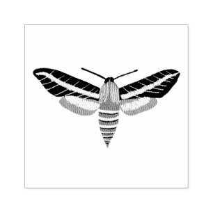 Mysterious Magical Moth Hand Drawn CUSTOMIZE IT Rubber Stamp