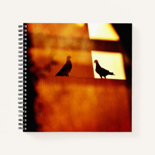 Mysterious Meeting Notebook