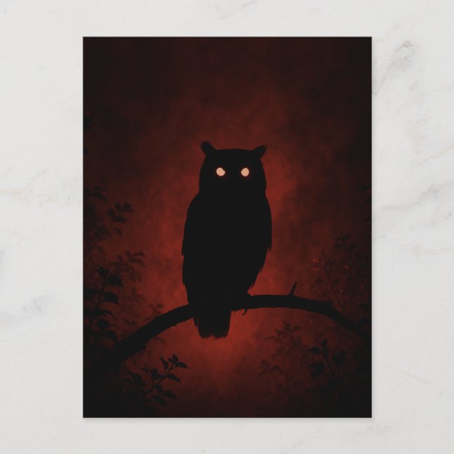  Mysterious Owl in the Night Postcard (Front)