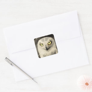 Mysterious Owl Newspaper Print - Vintage Folklore Square Sticker