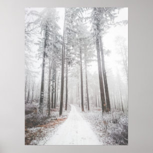 Mysterious road in a frozen foggy forest poster