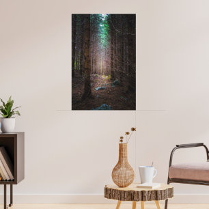 Mysterious spruce forest poster