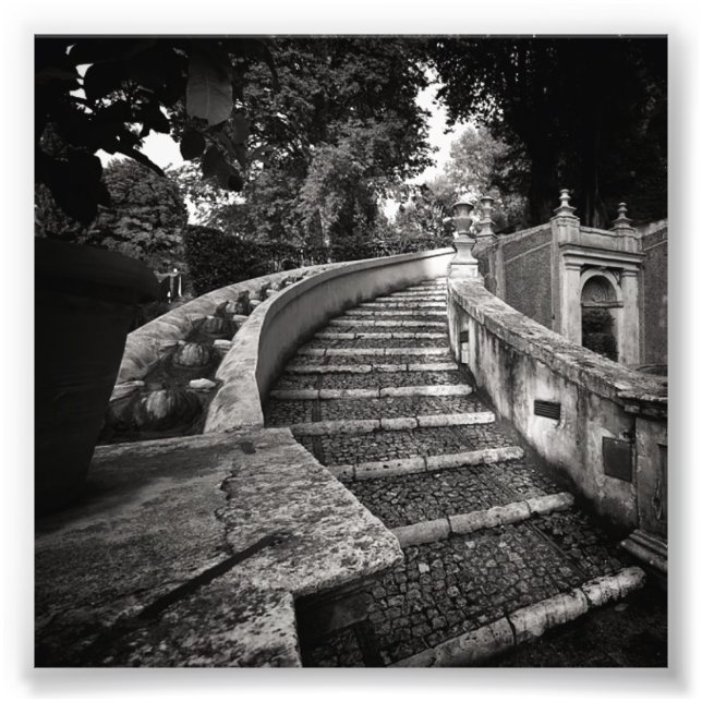 Mystery Stairs Photo Print (Front)