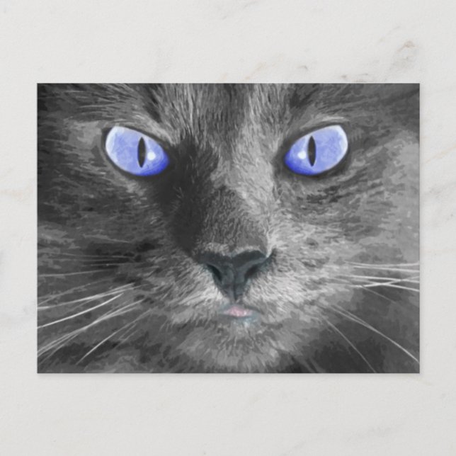 Mystic Cat Postcard (Front)