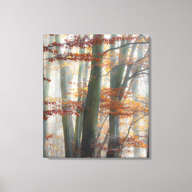 Mystic Foggy Forest in autumn Canvas Print (Front)