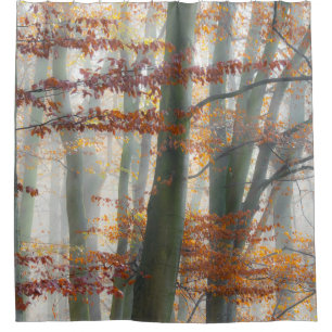 Mystic Foggy Forest in autumn - Shower Curtain
