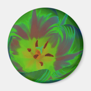 Mystic Green Tulip Magnet