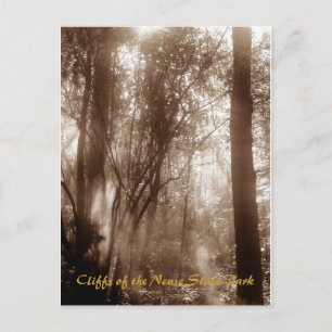 Mystic Morning CN1 - postcard