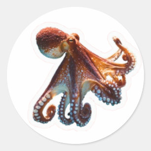 Mystic Ocean Octopus - Artistic Deep Sea Creature  Classic Round Sticker