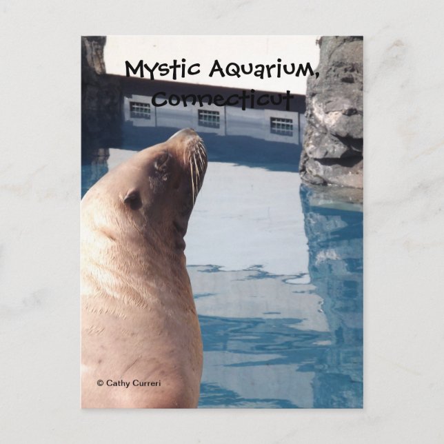 Mystic Postcard (Front)