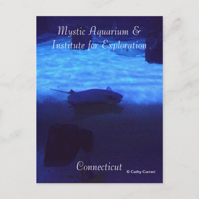 Mystic Postcard (Front)