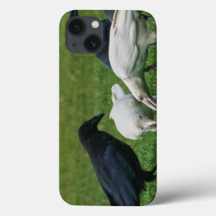 Mystic Ravens White Spirit Raven Corvid-lover Case