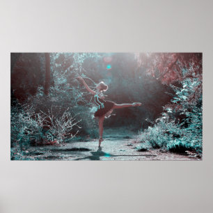 Mystical Ballet Dancer in the Frosted Woods Poster