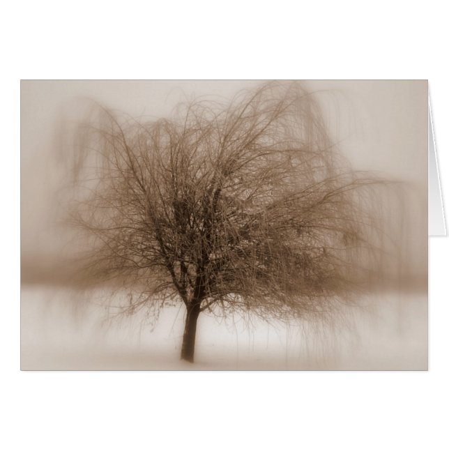 Mystical Dreams (Front Horizontal)