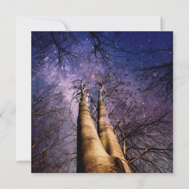 Mystical Forest Card (Front)