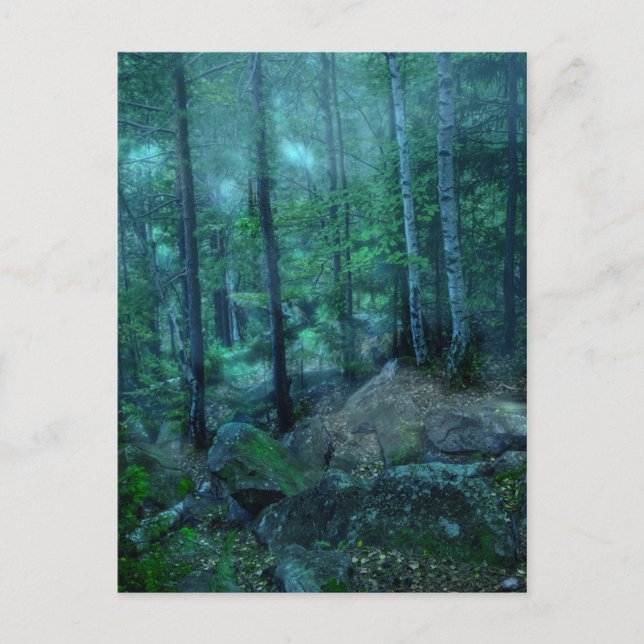 Mystical forest postcard (Front)