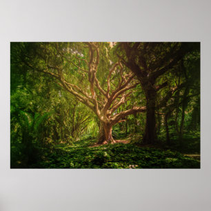 Mystical Forest Poster