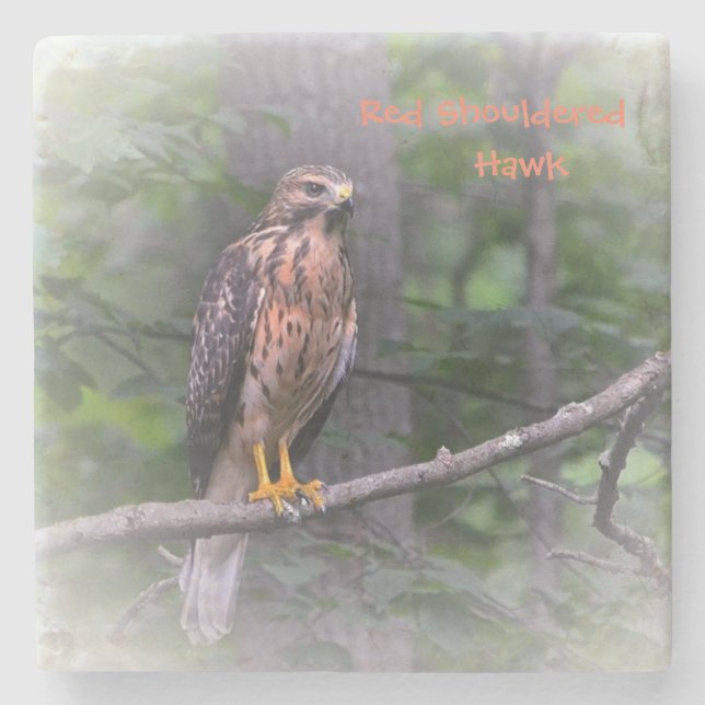 Mystical Hawk Stone Coaster (Front)