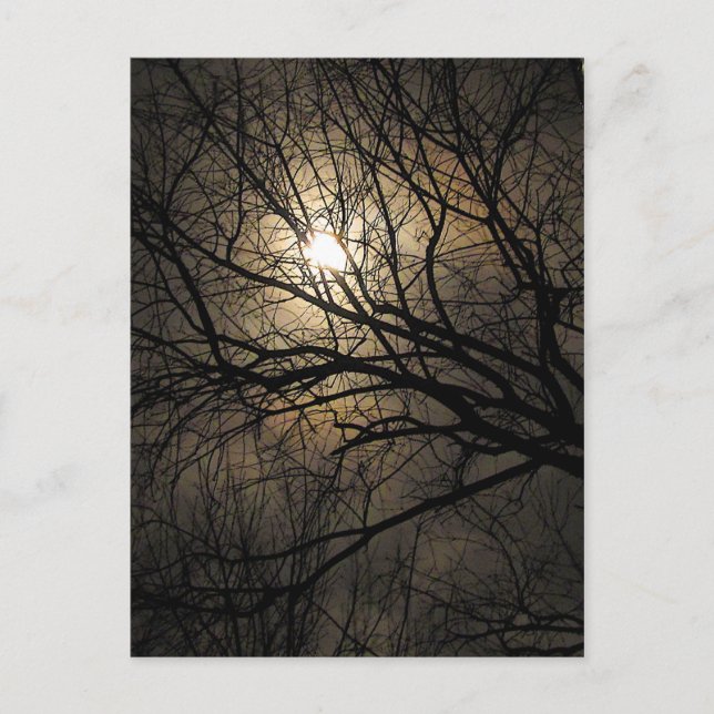 Mystical Moon Postcard (Front)