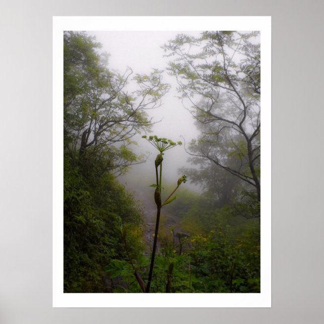 Mystical Morning at Appalachian Trail Poster (Front)