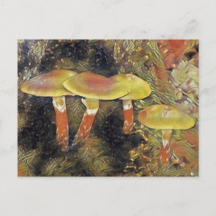 Mystical Mushrooms Postcard