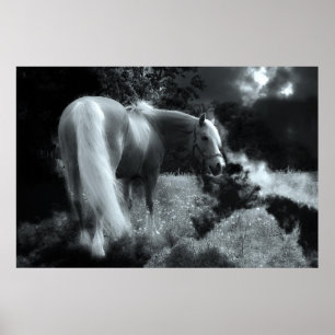 mystical night horse poster