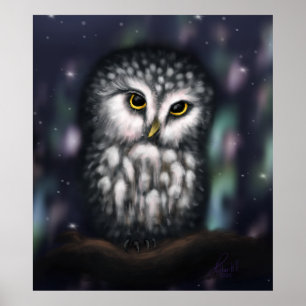 Mystical Owl in Northern Nightfall Poster