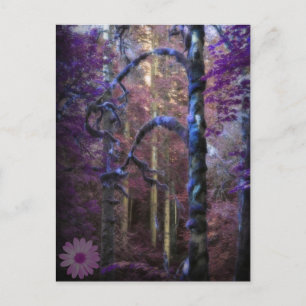 Mystical Purple Forest Postcard